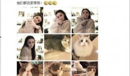 喝醉了的爆料贴吧最新,揭秘喝醉了的爆料贴吧最新动态